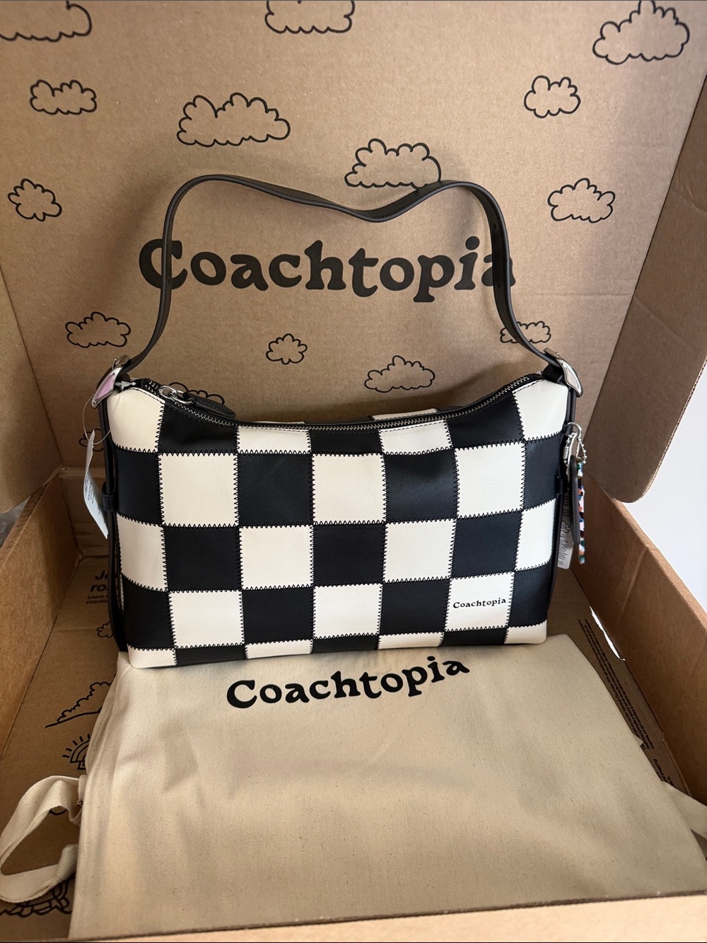 Coachtopia Alter Ego Slouchy Bag